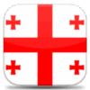 Georgia Universities