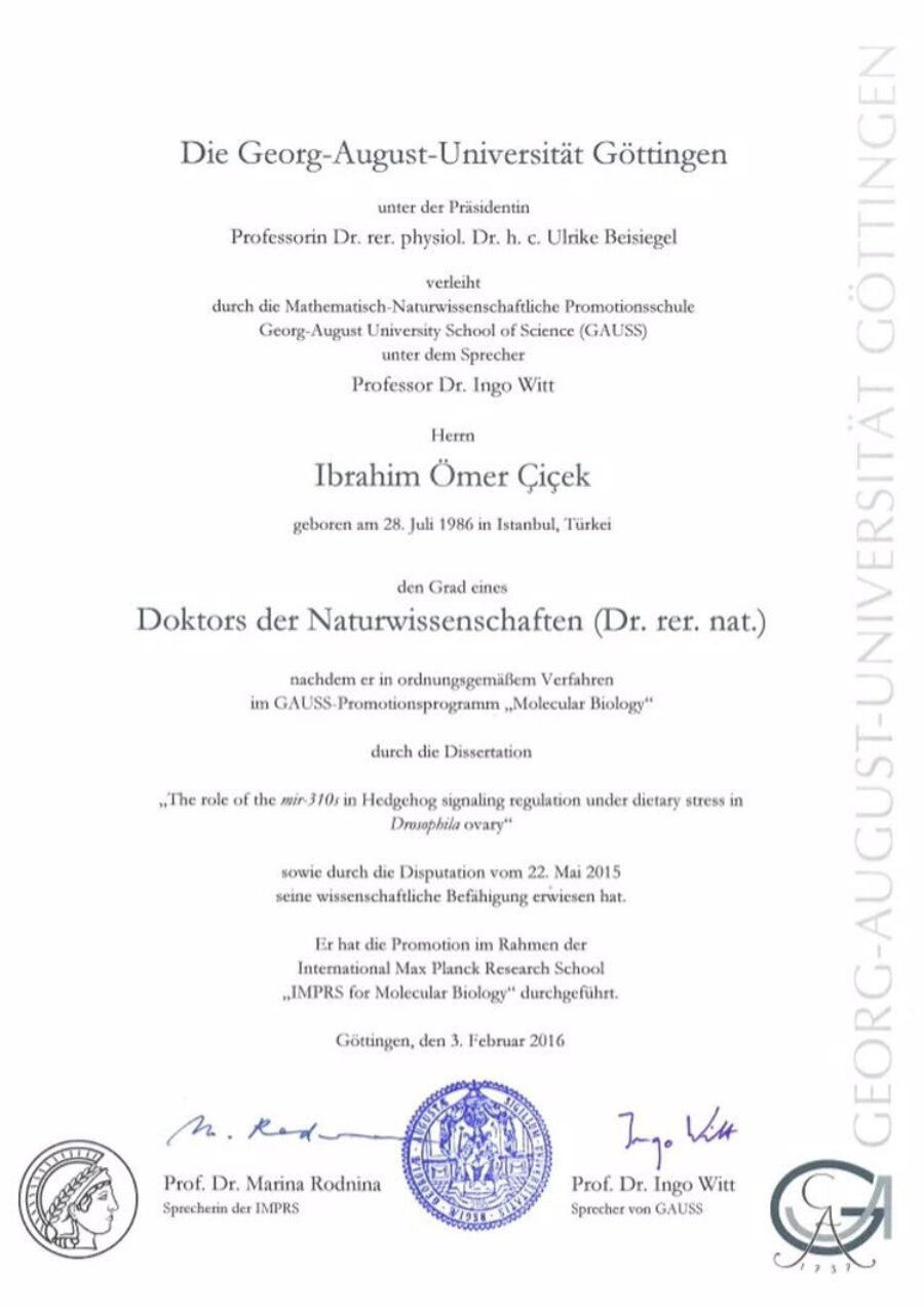 Buy college degree from the Georg-August-Universität Göttingen